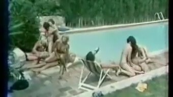 Ilk Fransız Orgisi (1978): Vintage Bir Avrupa Grup Deneyimi