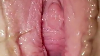 Huge Cock Fucks Pig Wife'S Gaped Pussy