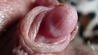 Intense Close-Up Van Mijn Grote Clitoris Tip Die Klopt