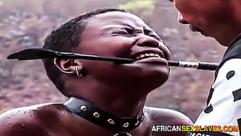 Bdsm: Ebony Slave Gets Whipped To Submission