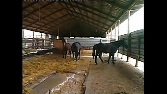 큰 가슴과 엉덩이: 이탈리아 포르노스타 켈리 스태포드의 액션