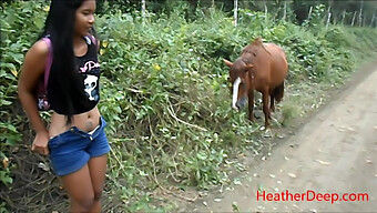 Jungle Peeing: A High Definition Video Of A Man Pissing Next Of A Horse