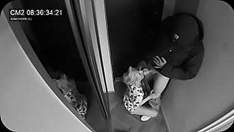 Hot Wife Gives Blowjob To Postman While Husband Watches Nearby